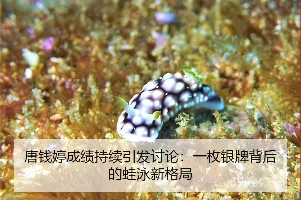 tang-qian-ting-cheng-ji-chi-xu-yin-fa-tao-lun-yi-mei-yin-pai-bei-hou-de-wa-yong-xin-ge-ju-2-257.jpg