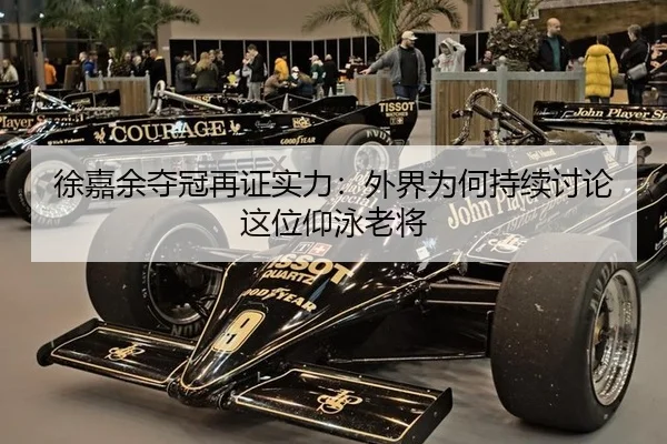 xu-jia-yu-duo-guan-zai-zheng-shi-li-wai-jie-wei-he-chi-xu-tao-lun-zhe-wei-yang-yong-lao-jiang-1-382.jpg